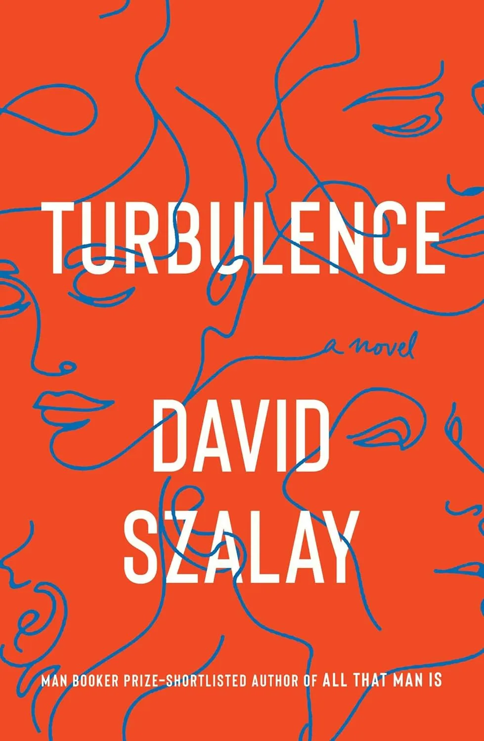 Turbulence: A Novel Hardcover  July 16, 2019